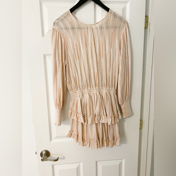 Misa Revolve Katia Dress in Blush Stripe - Picture 9 of 12